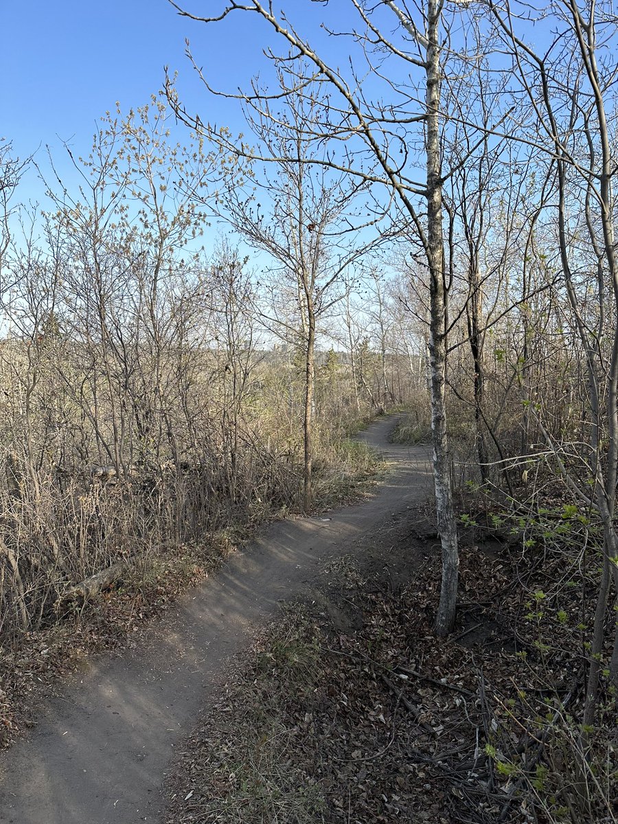 Finally back at it. First longer run on the trails since Boston.