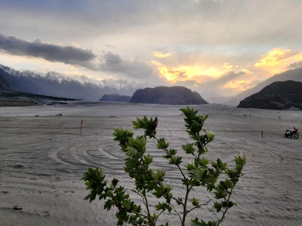 basitkhan1011's tweet photo. Stunning Shigar
#Fortheloveofmountains #ABClicks https://t.co/YwTHE91lBA