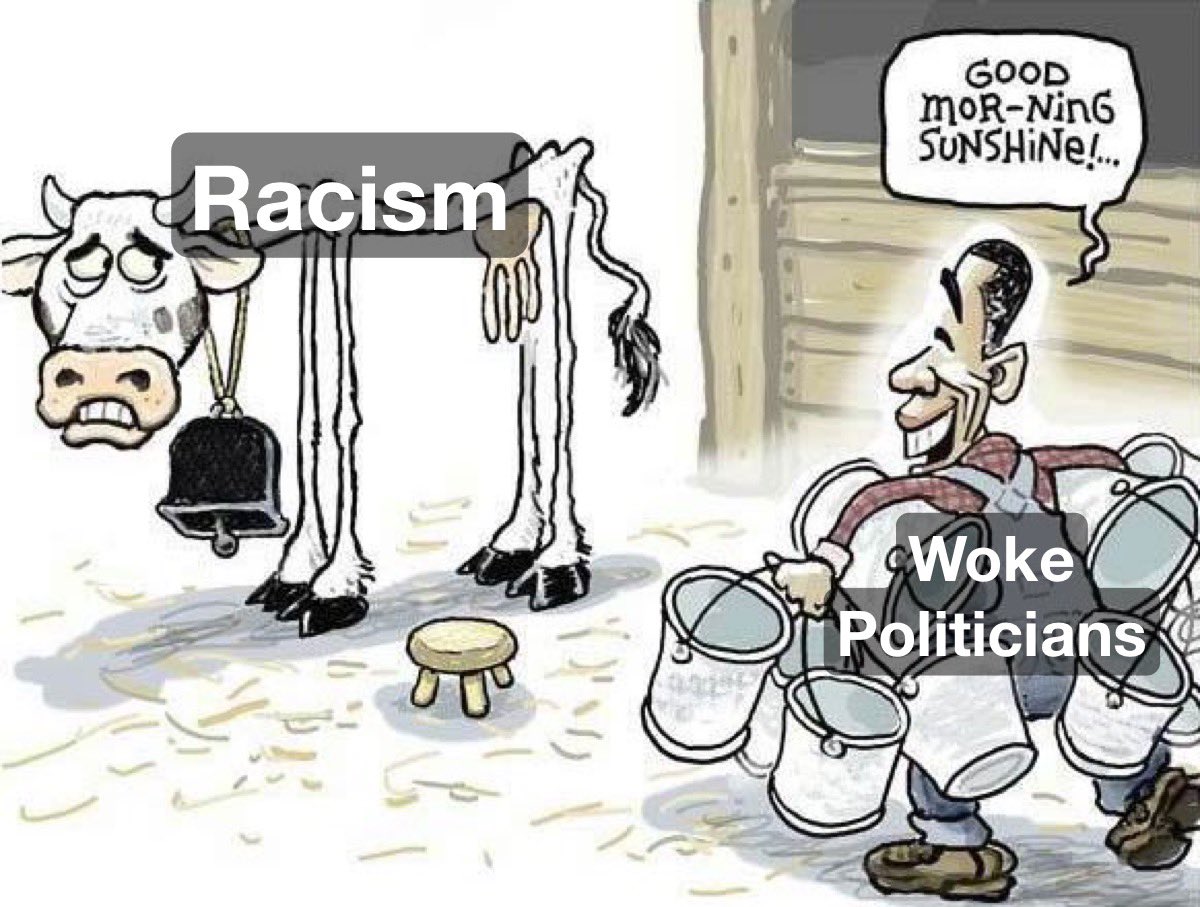 TheRabbitHole's tweet photo. “Racism is not dead, but it is on life support – kept alive by politicians, race hustlers and people who get a sense of superiority by denouncing others as racists.”

— Thomas Sowell https://t.co/rJAFmmp677