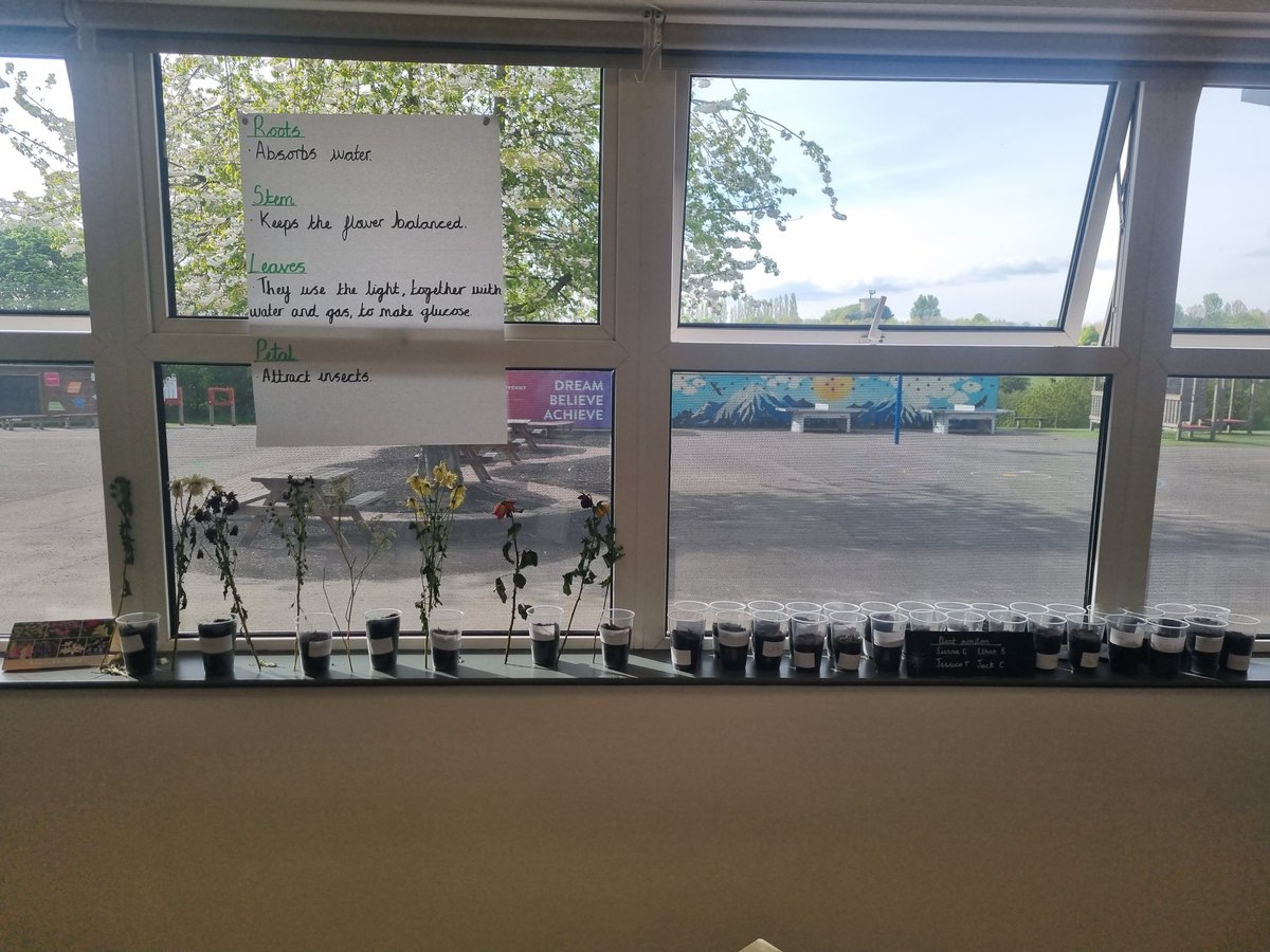 halfpennylane's tweet image. Year 2 have been busy planting flower seeds and getting their hands dirty in science this afternoon. #BeHalfpenny #ScienceLesson #LifeCycleOfAPlant