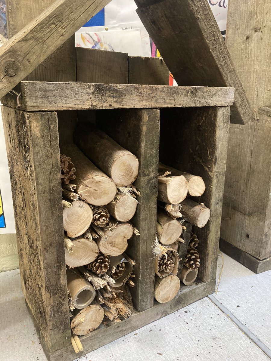 fiona_buggy's tweet photo. Getting ready for #maydayforsustainability23 #take1programme @DeansrathCC @ddletb #Sustainability @WorldWise_Irl https://t.co/EyrEcNHeVW