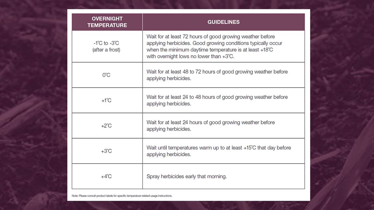 Bayer4CropsCA's tweet photo. Herbicide activity, weed control ability and crop safety characteristics can be affected by temperature 🌡️ so keeping in mind overnight temps is critical to achieve optimal performance.

Use this quick reference chart 👇 but consult the product label for specific guidelines. https://t.co/1fXxqwQ0X5