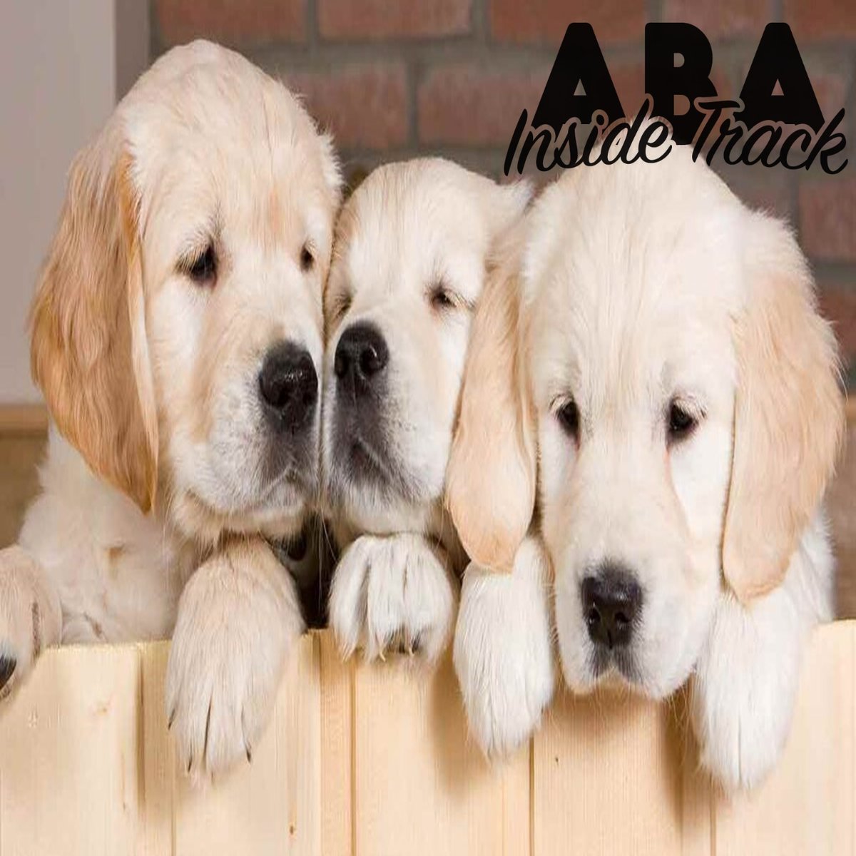 This May we've got too many episodes to count without using all your fingers. Special guests Drs. Claudia Dozier and Sarah Lechago; synchronous reinforcement; diversity, equity, and inclusion research; mand training; and assessments we didn't know existed. abainsidetrack.com/home/2022/5/3/…