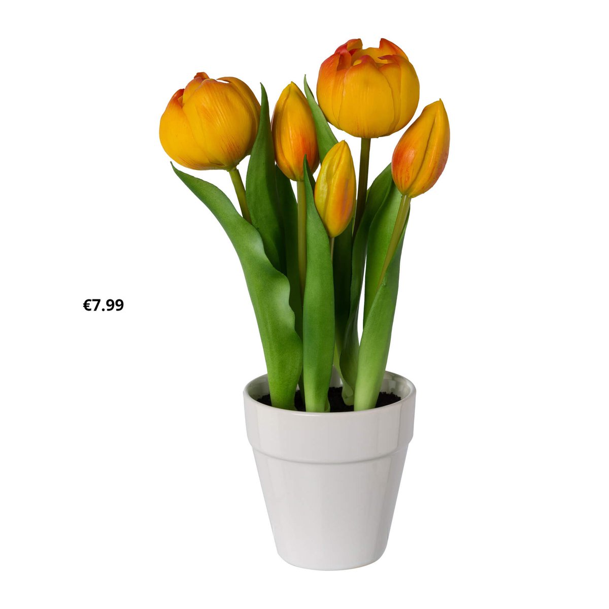 Michael Guiney's tweet media