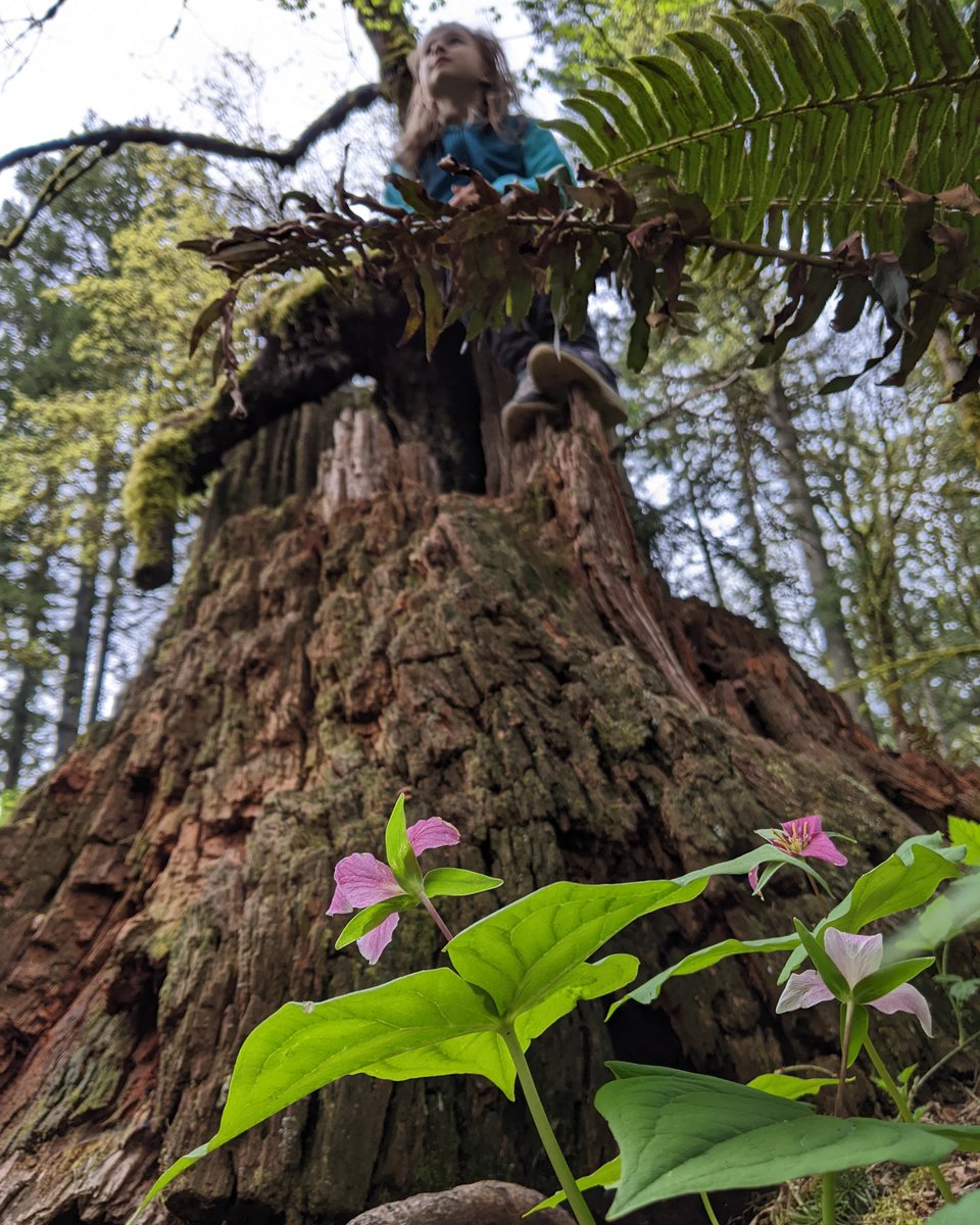 natureplaysign tweet picture