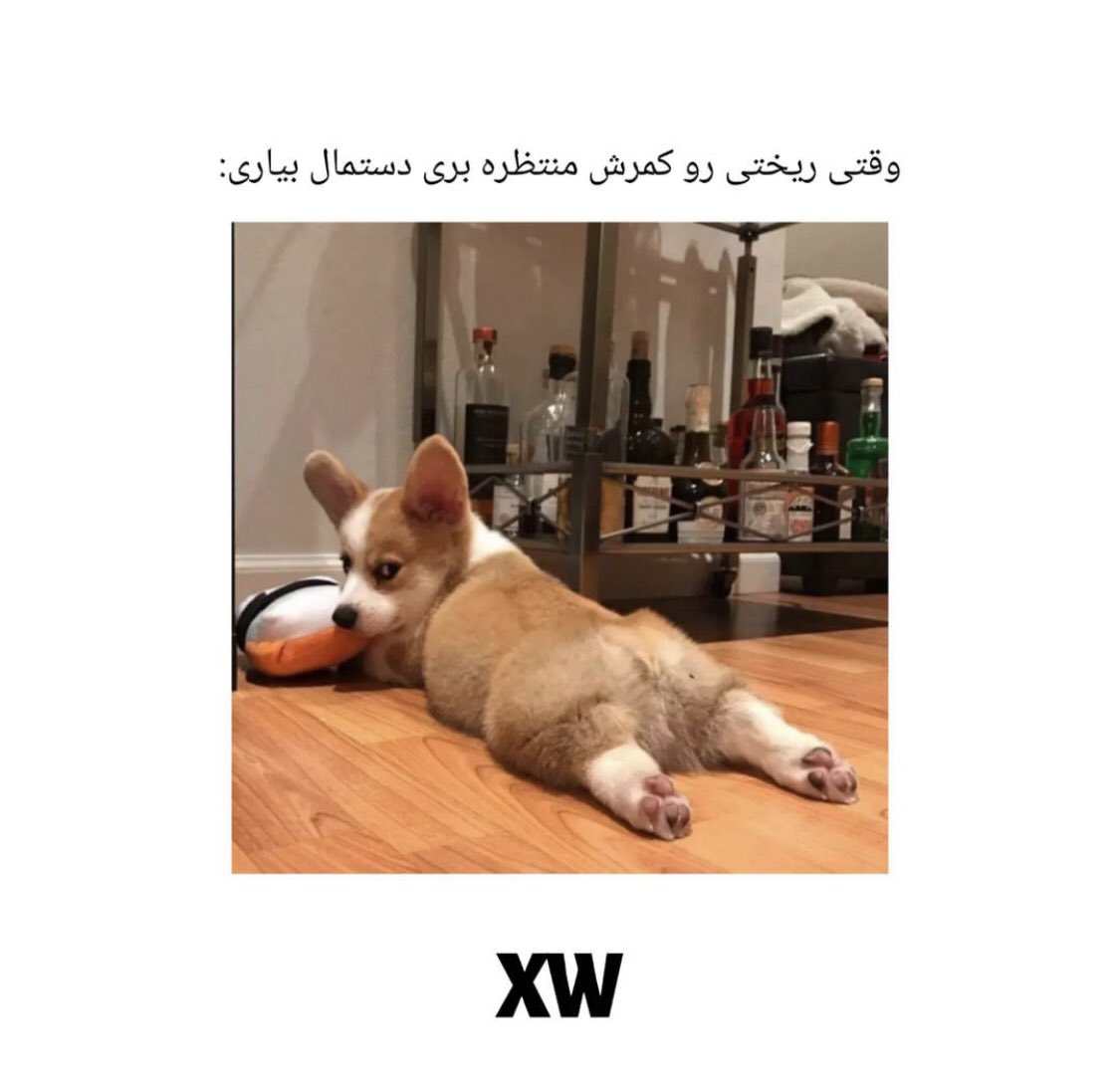 این‌ خیلی خوب بود😂😂