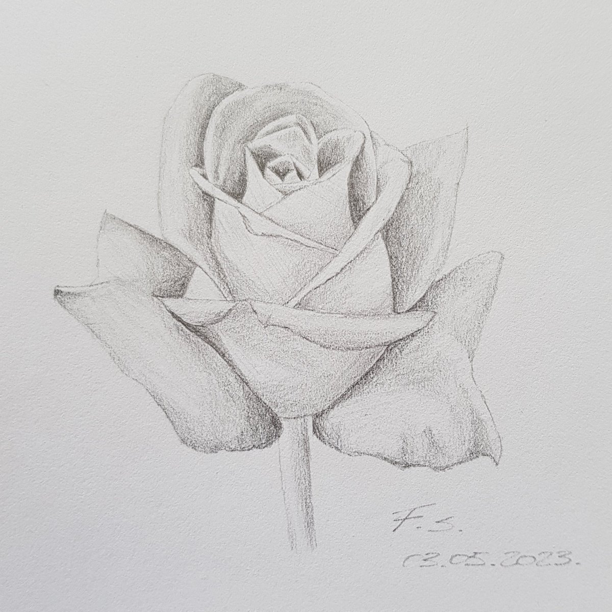 FilipSkomerzha's tweet photo. Ruža / Rose
Crikvenica, 3. svibnja 2023. 

tehnička olovka | 0,5 mm HB mina
mechanical pencil | 0.5 mm HB lead 

#SoliDeoGloria #Bog #cvijet #flower #priroda #nature #umjetnost #art #umjetnik #artist #sketch #drawing #olovka #pencil #mechanicalpencil #pencildrawing #pencilart https://t.co/ABAhCLBcoV