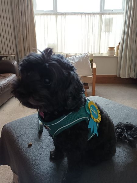 New Mills Together tweet media