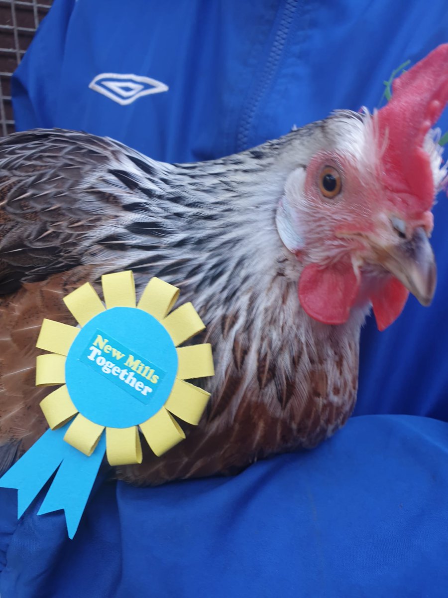 New Mills Together tweet media