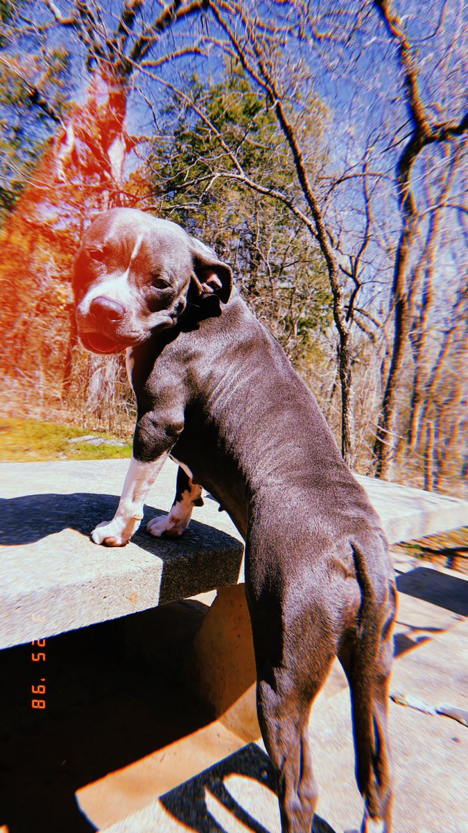 reallyhighc's tweet image. It’s been a long day without you my friend..