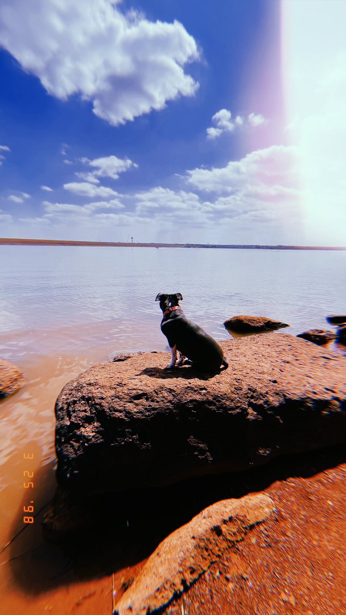 reallyhighc's tweet image. It’s been a long day without you my friend..