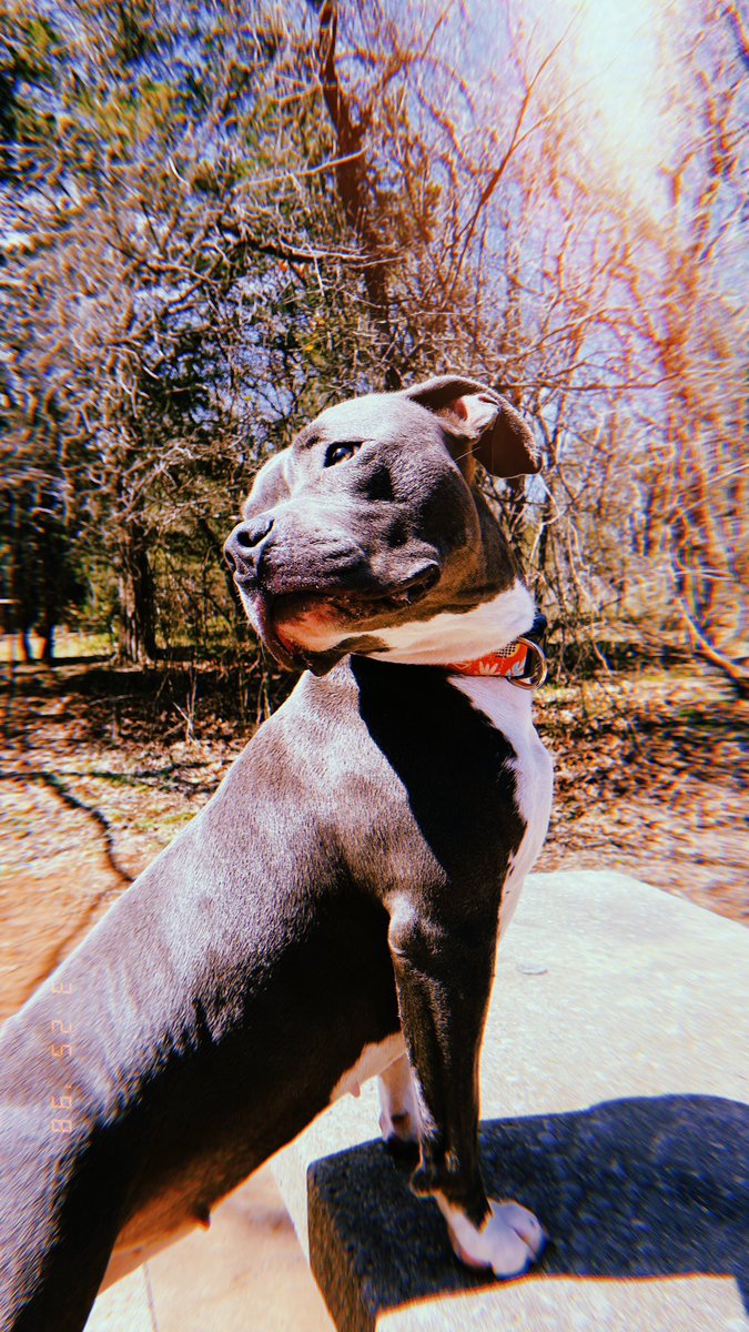 reallyhighc's tweet image. It’s been a long day without you my friend..