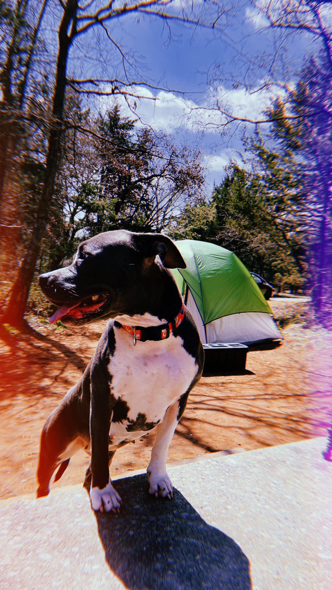 reallyhighc's tweet image. It’s been a long day without you my friend..