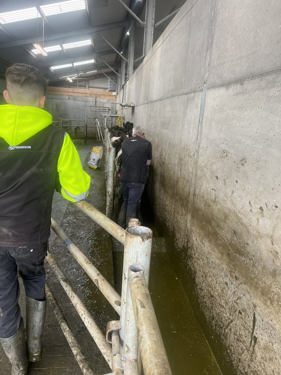 Diarmaid Fitzgerald tweet media