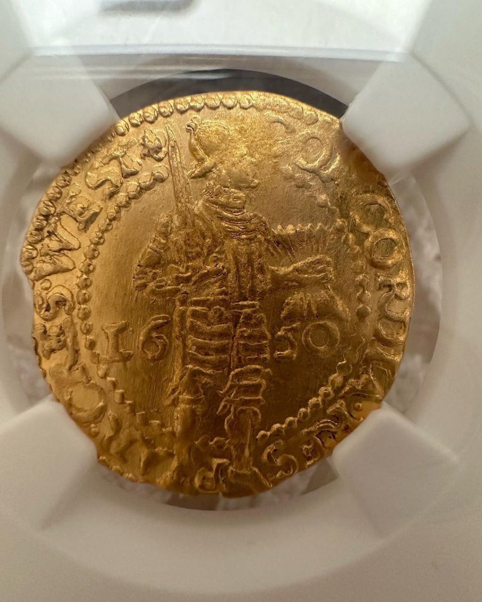 LinMiss__'s tweet image. Coins from the Dutch Golden Age. gold coins from west frisia

#rancholasesmeraldas #caballosfinos #caballosbailadores #friesian #horse #austin #texas #mexico #equine #caballos #horsesofinstagram #equestrian #black #viral #explore #explorepage #photooftheday #horses #fyp #foryou