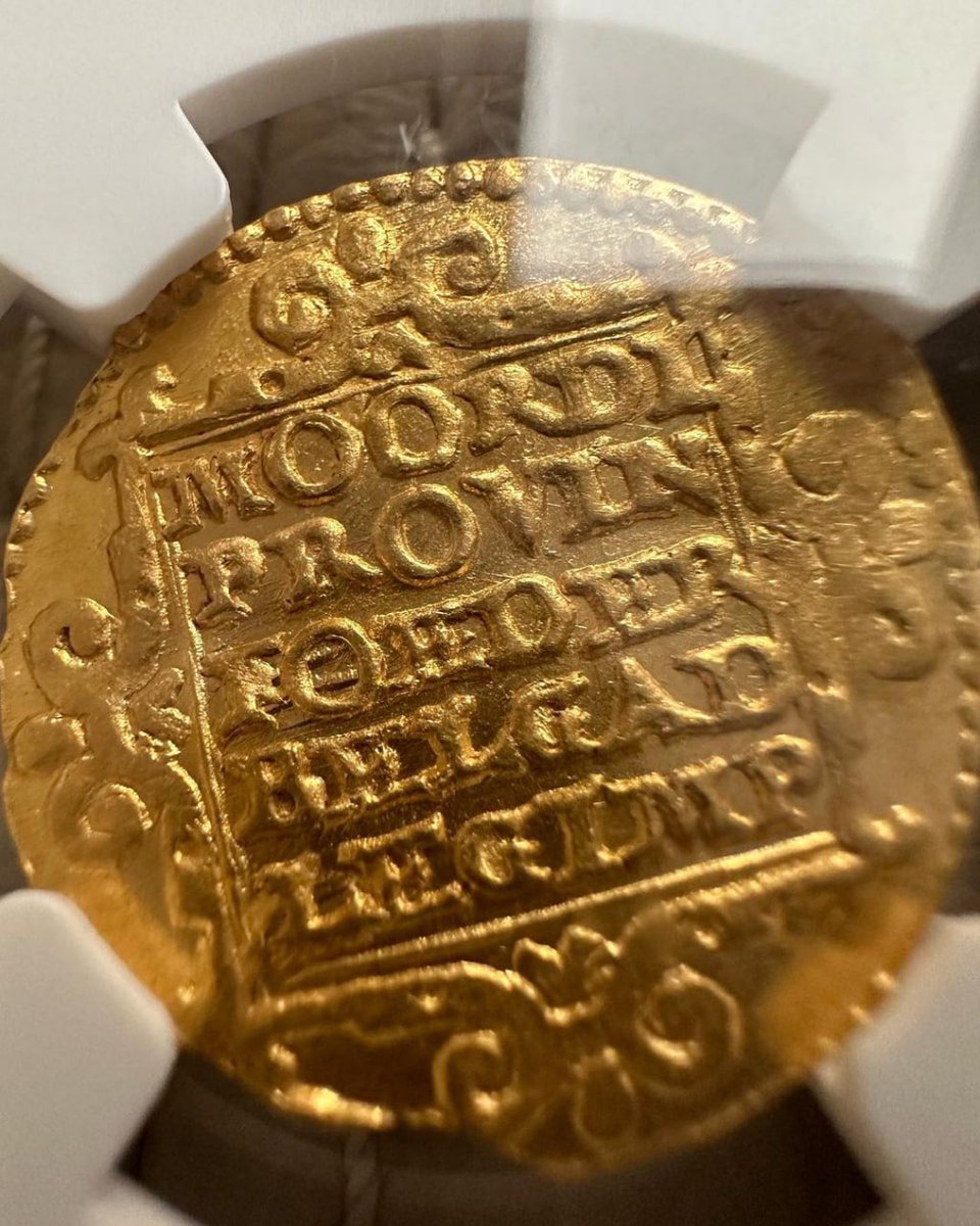 LinMiss__'s tweet image. Coins from the Dutch Golden Age. gold coins from west frisia

#rancholasesmeraldas #caballosfinos #caballosbailadores #friesian #horse #austin #texas #mexico #equine #caballos #horsesofinstagram #equestrian #black #viral #explore #explorepage #photooftheday #horses #fyp #foryou