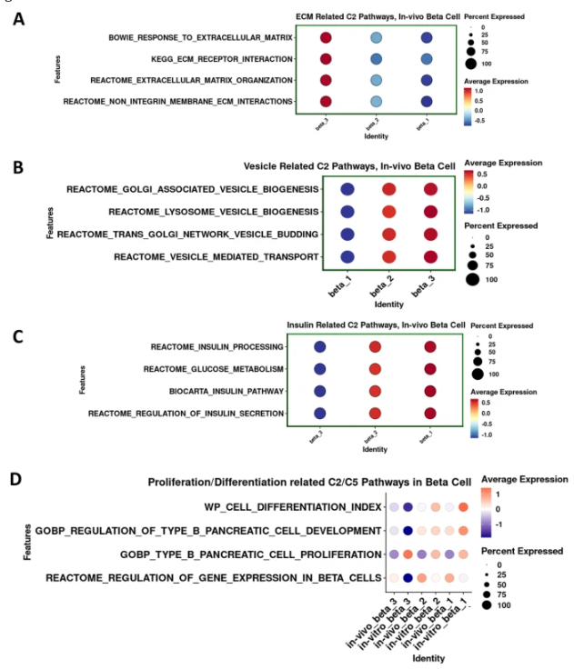 randystyle's tweet photo. 7. β3 cells displayed lower expression of genes involved in β-cell proliferation in vivo than in vitro, indicating a more functional but less mitogenic status in the in vivo microenvironment." #snRNAseq #isletcells #inVivo #geneexpression #betacellsubtypes https://t.co/EpA8YkvdwO