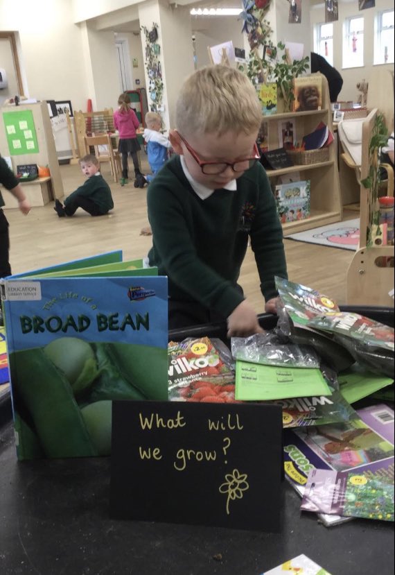 Meadowside Sunflowers Nursery tweet media