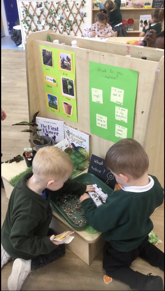 Meadowside Sunflowers Nursery tweet media