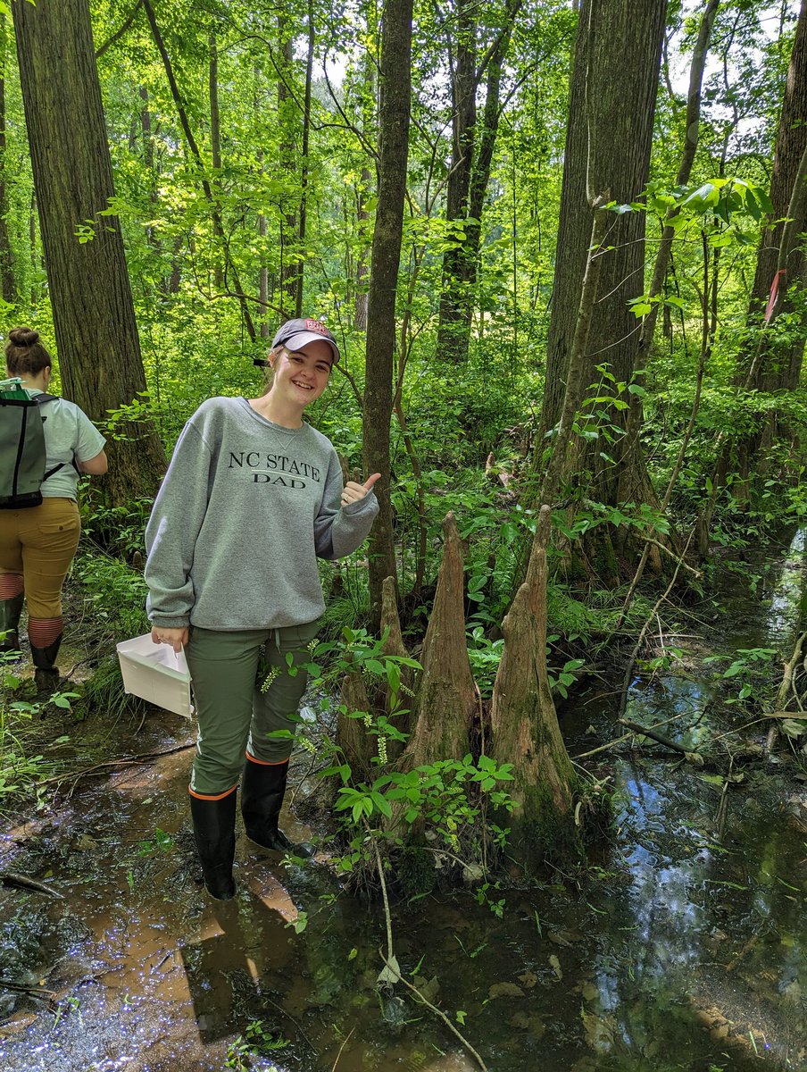 kressuk's tweet photo. Let's be honest, the best part of bald cypress work is the knees. https://t.co/U4D3IY8R5n