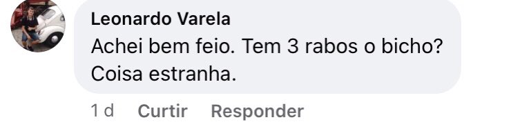 planetadoavai's tweet photo. Ser torcedor do Avaí é mto bom https://t.co/D3RtbgjVYk