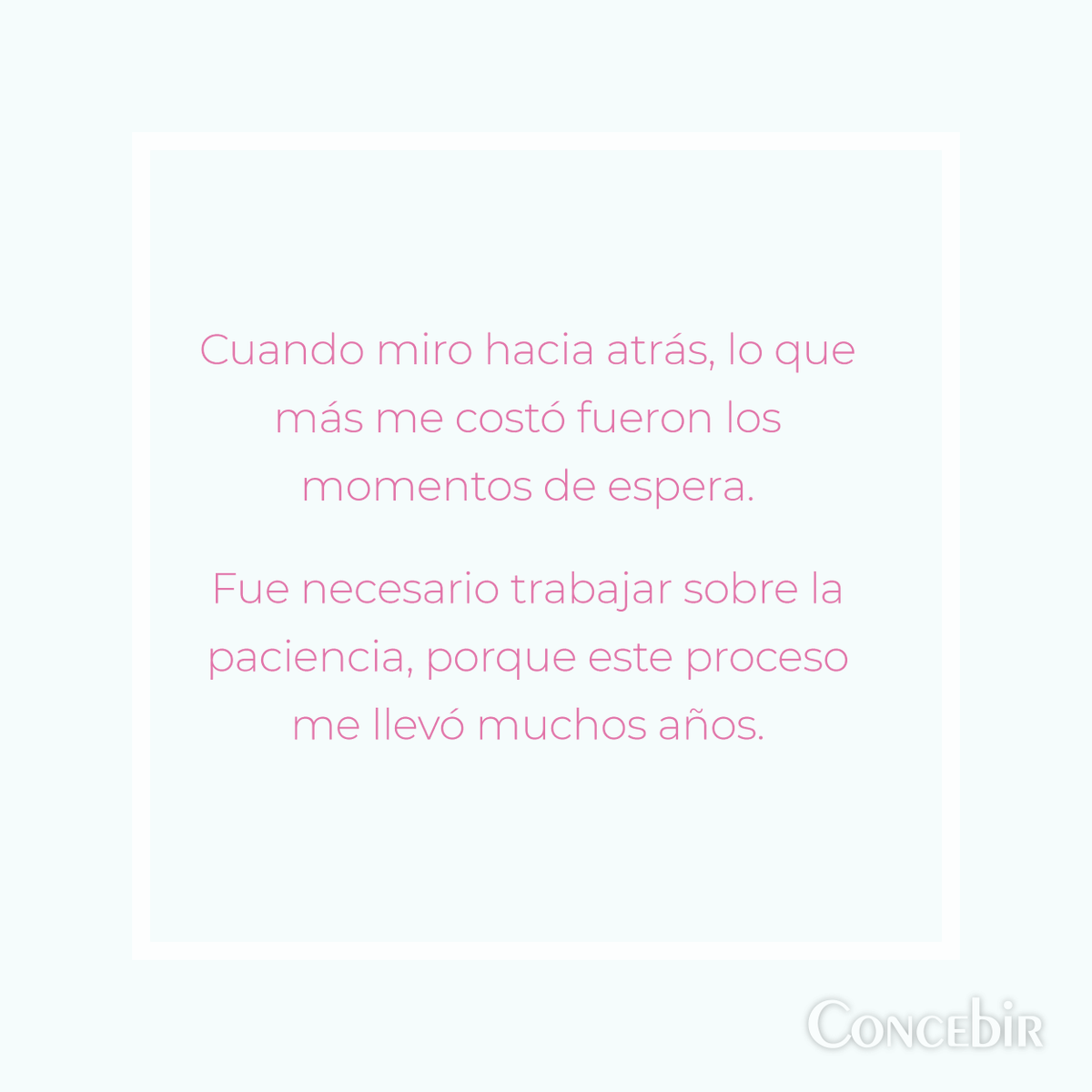 Concebir ONG tweet media