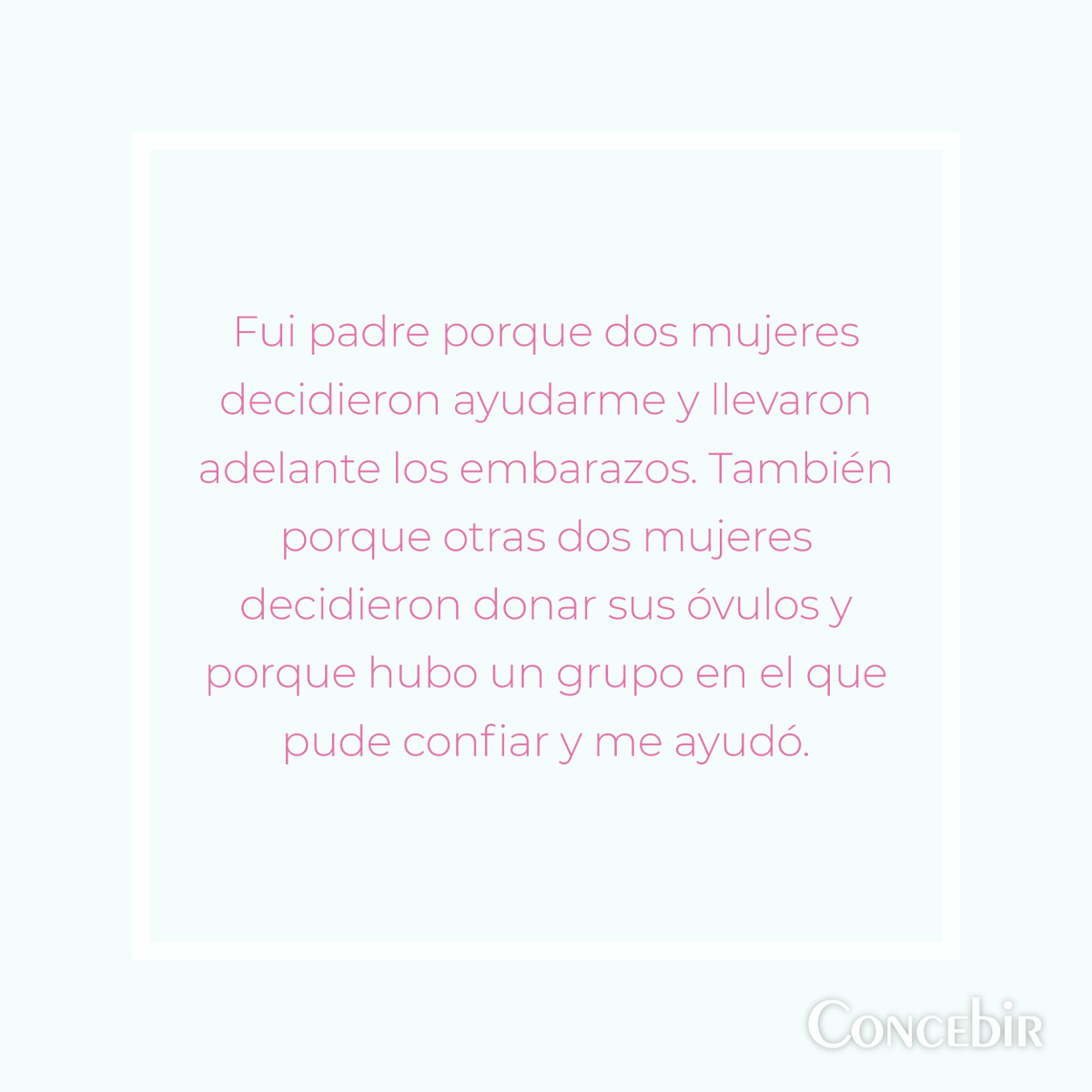 Concebir ONG tweet media