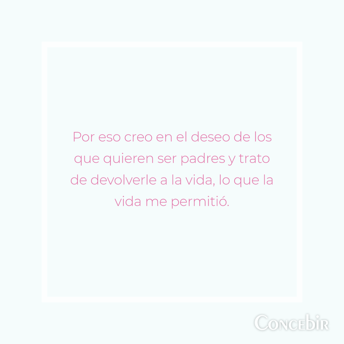 Concebir ONG tweet media