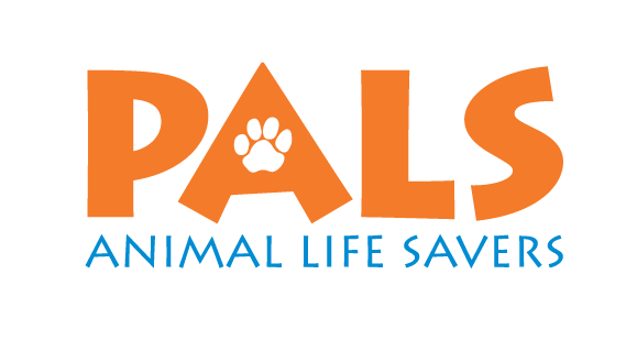 PalsCats's tweet photo. https://t.co/ejhcU4jjsj https://t.co/LXdXStBkFl