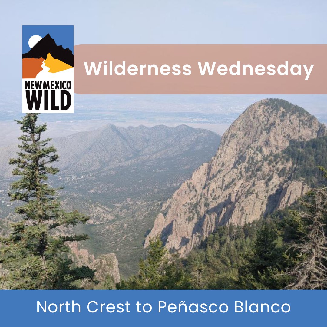 nmwild's tweet photo. Happy #WildernessWednesday! Did you know that #Sandiamountainwilderness is 37,230 acres and over 140 trails wind through this urban wilderness? Find this trail and many more in this Wilderness area in our free online hiking guide! https://t.co/dkQwY9HcFC #nmwild #Albuquerque #NM https://t.co/twHlx8DefH