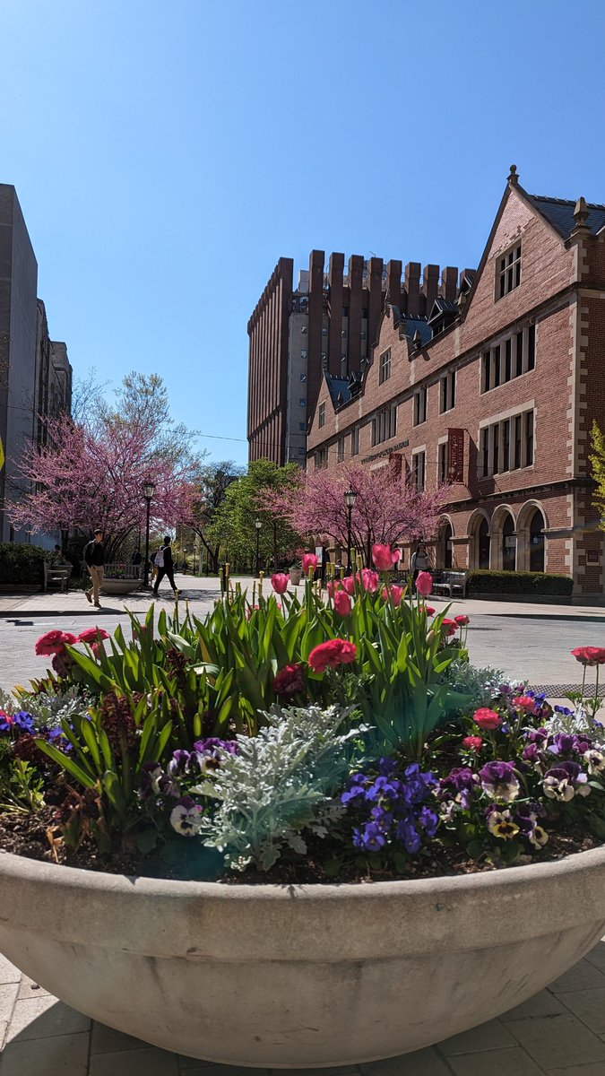 matwimberly's tweet photo. Campus is looking pretty spiffy today. https://t.co/nJohToA6kR