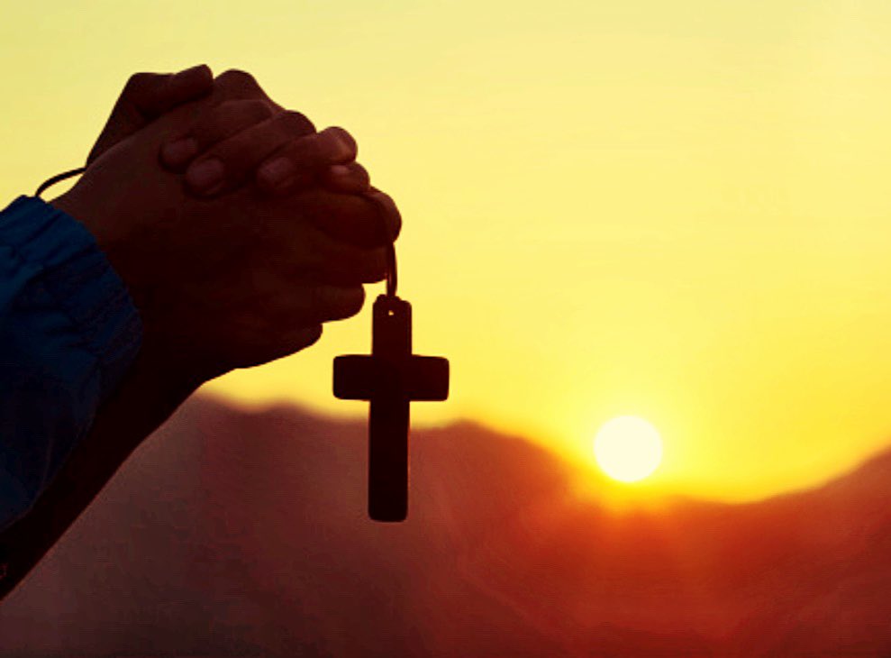 Veronique Dilau tweet media