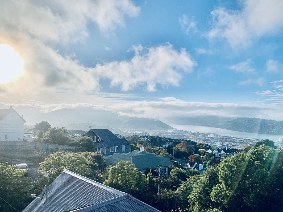 Morning from Otepoti/Dunedin, NZ! 

#Ottaaaggggooooo 💙💛💪