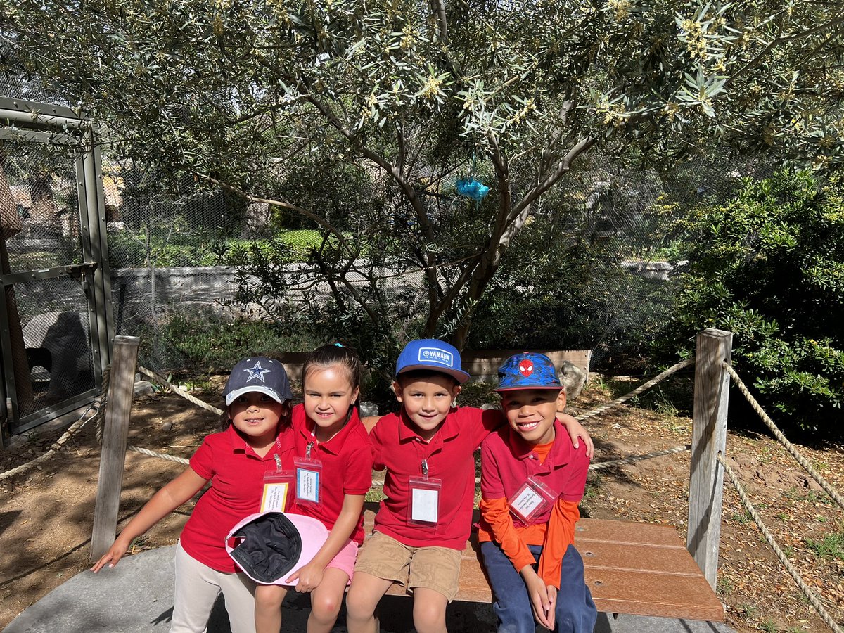 fancynancyesq17's tweet photo. Pk4 goes to the Zoo! Love seeing the world through childrens eyes @BNarbuth_ES @ACamacho_BNES @SMorales_BNES https://t.co/r6WP1tYhyf