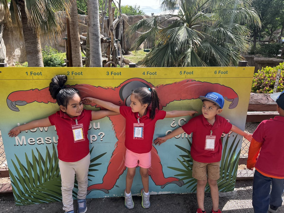 fancynancyesq17's tweet photo. Pk4 goes to the Zoo! Love seeing the world through childrens eyes @BNarbuth_ES @ACamacho_BNES @SMorales_BNES https://t.co/r6WP1tYhyf