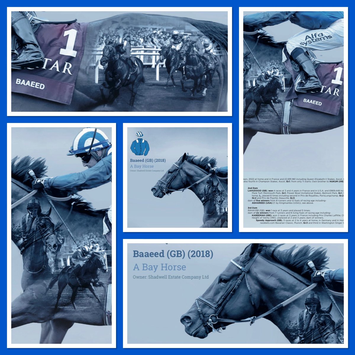 Weatherbys Limited (@weatherbysltd) on Twitter photo We’ve released a series of high quality prints designed by our talented art-workers and featuring top horses of recent years - ‘Modern Greats’. Here’s six time Group 1 winner Baaeed <a href="/JimCrowley1978/">Jim Crowley</a> along with his wonderful pedigree. For more information 👉🏻 bit.ly/3LtWVoQ We’ve released a series of high quality prints designed by our talented art-workers and featuring top horses of recent years - ‘Modern Greats’. Here’s six time Group 1 winner Baaeed <a href="/JimCrowley1978/">Jim Crowley</a> along with his wonderful pedigree. For more information 👉🏻 bit.ly/3LtWVoQ