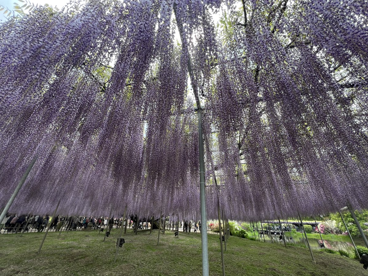 2ndQuality2022's tweet photo. ご無沙汰です。おはようございます。
Twitterは左寄りの方が多い印象ですがやや右寄りで投稿して行きたいと思います。
最近は経済学にハマっています。
「日本式新資本主義」の確立を目指します。
また少しずつ絡みに行きます故よろしくお願い致します🙇
先日北関東で綺麗なの撮れたので🌸
#経済
#フジ https://t.co/ePNooIl8tC