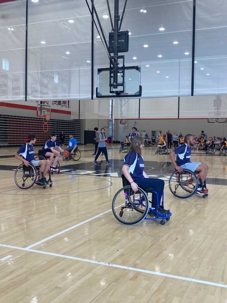 Jenny Rodgers tweet media