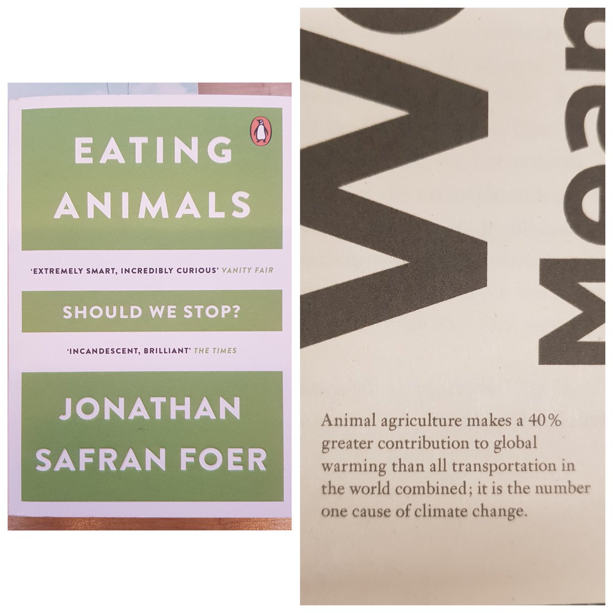 Another important reason why we should stop eating animals. 🐖❤🐄❤🐇❤🐔

#endspeciesism #animals #Vegan #stopeatinganimals