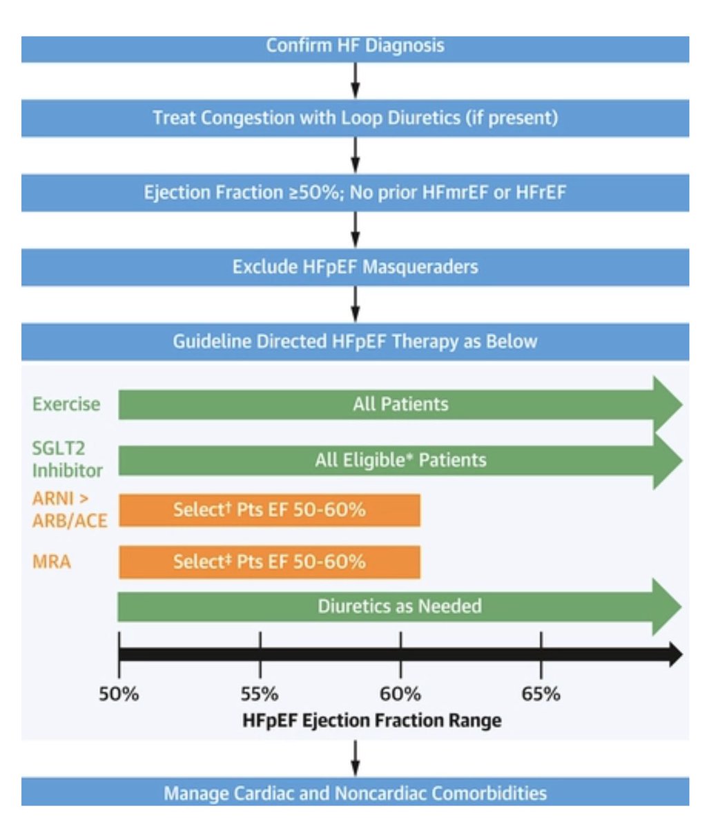 Tratamiento de la insuficiencia cardiaca con FE preservada en un esquema.