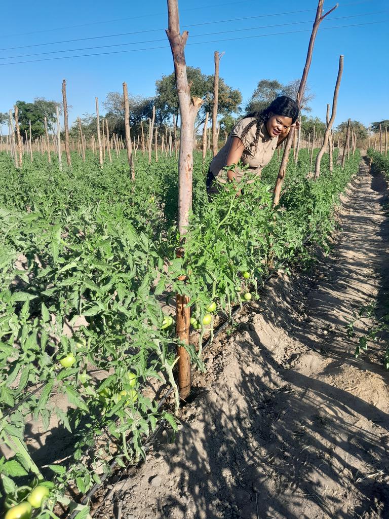 🦄 Agronomybae -IPM Queen👸 tweet media
