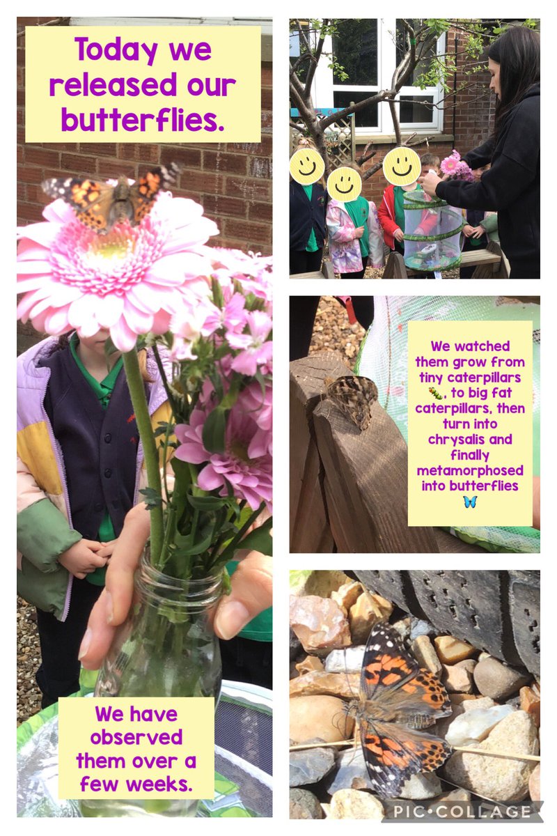 Today class 2 released their butterflies into a sunny reception garden.