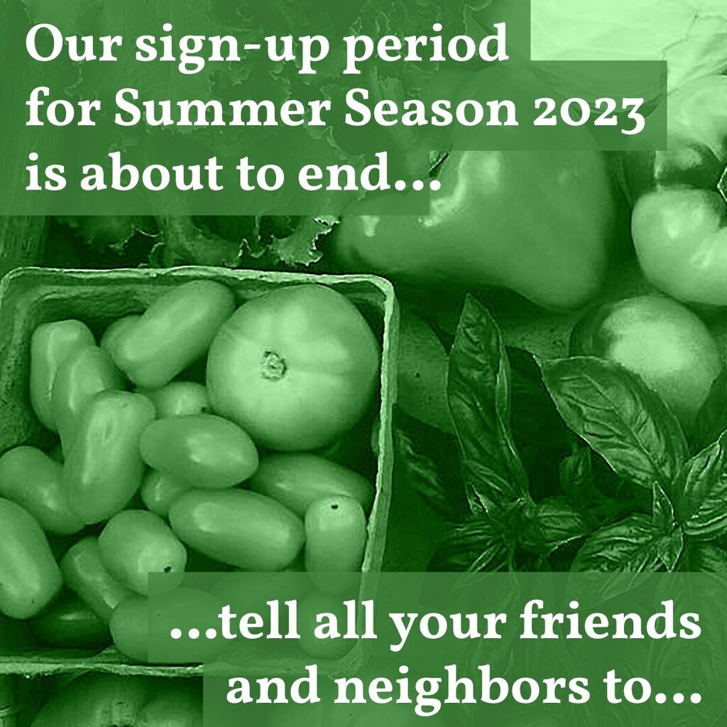 StantonStCSA's tweet photo. We extended our regular pricing until May 7, but sign up closes May 14 !!!

Join #StantonStreetCSA and get 22 weeks of #farmfresh #organic, seasonal #deliciousness from @WindflowerFarm.

Distribution starts on Thursday June 1 at the M’Finda Kalunga commu… https://t.co/ubgsrD0vKh https://t.co/fQ86FXxizJ