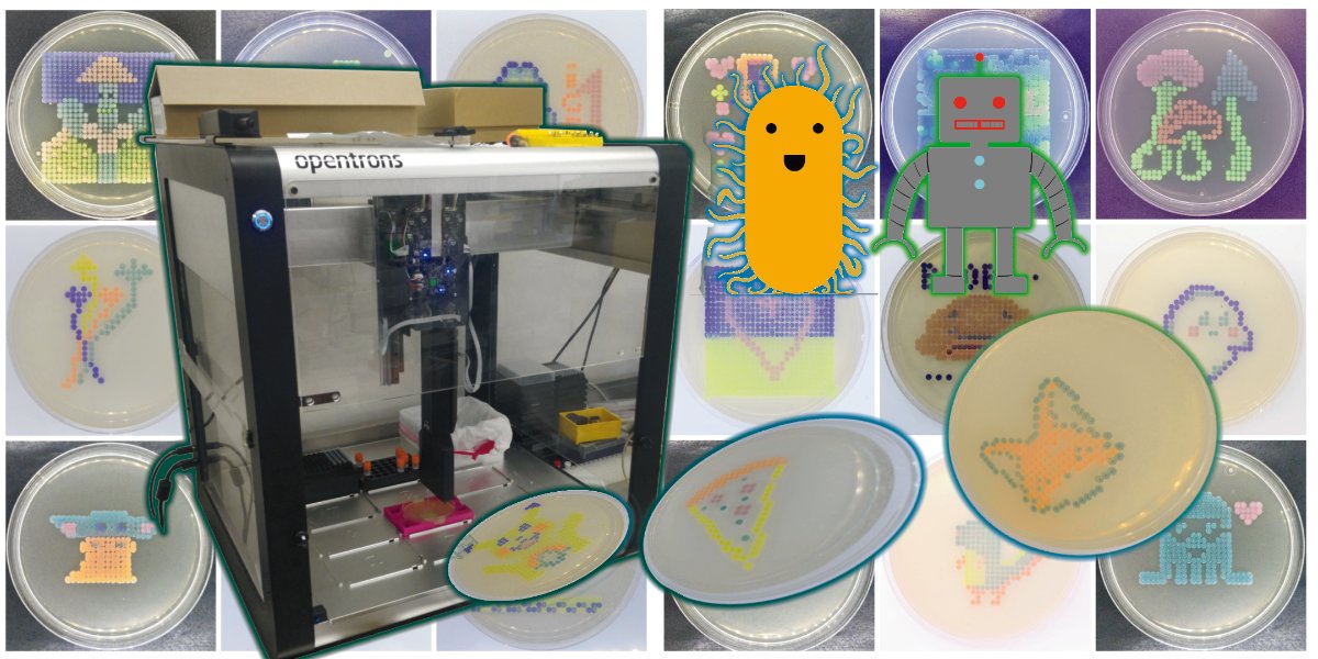 Biotech without Borders 🧬 tweet media