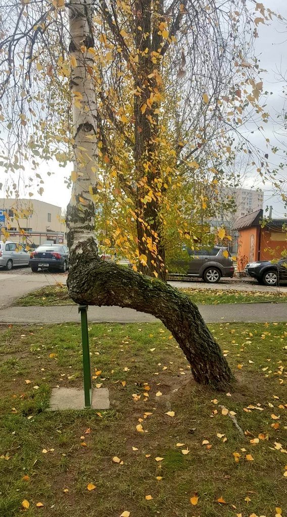 PaulinaKosowsk9's tweet photo. Se siadł, biedaczek umęczony.!.
#photo #art #artwork #photo #photography #photographer #nature #NaturePhotography #streetphotography #color #green #naturelovers #tree #Warsaw #satdown Dear, #please #standup your dup, get up and don't #giveup .!. https://t.co/dHrhTPCC5y