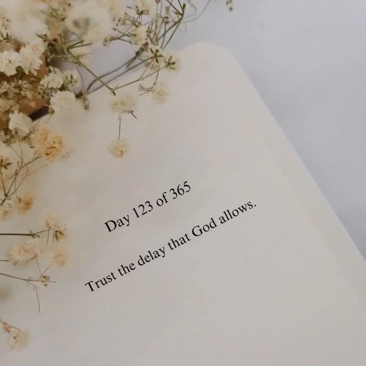 𝐉𝐄𝐍𝐍 🤍 tweet media