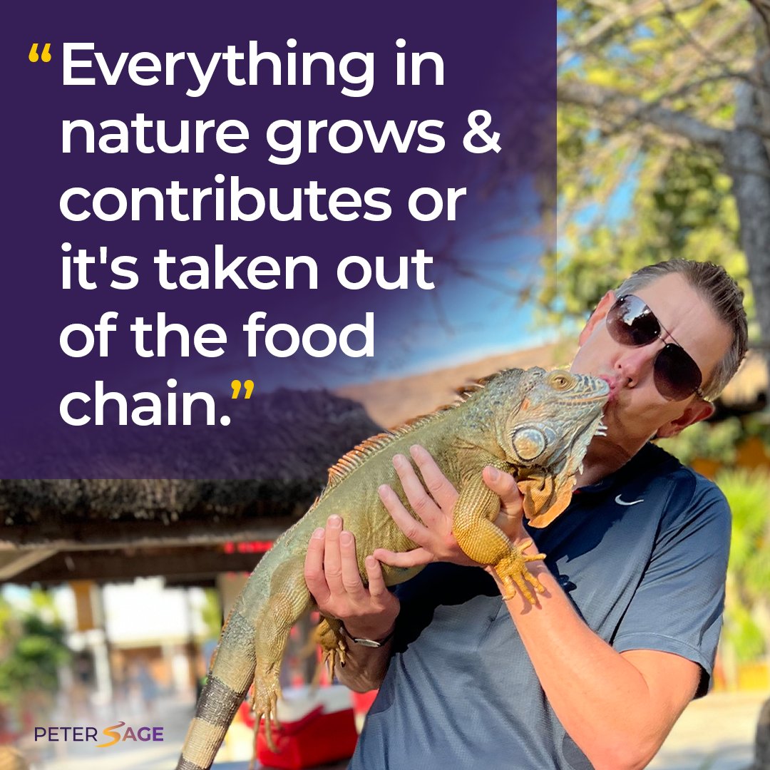 RealPeterSage's tweet image. Let's keep pushing ourselves to grow and make a positive impact in the world! 🌍

 #PeterSage #LifeMetaphors #PersonalGrowth #Contribution #MakeADifference #Nature #FoodChain