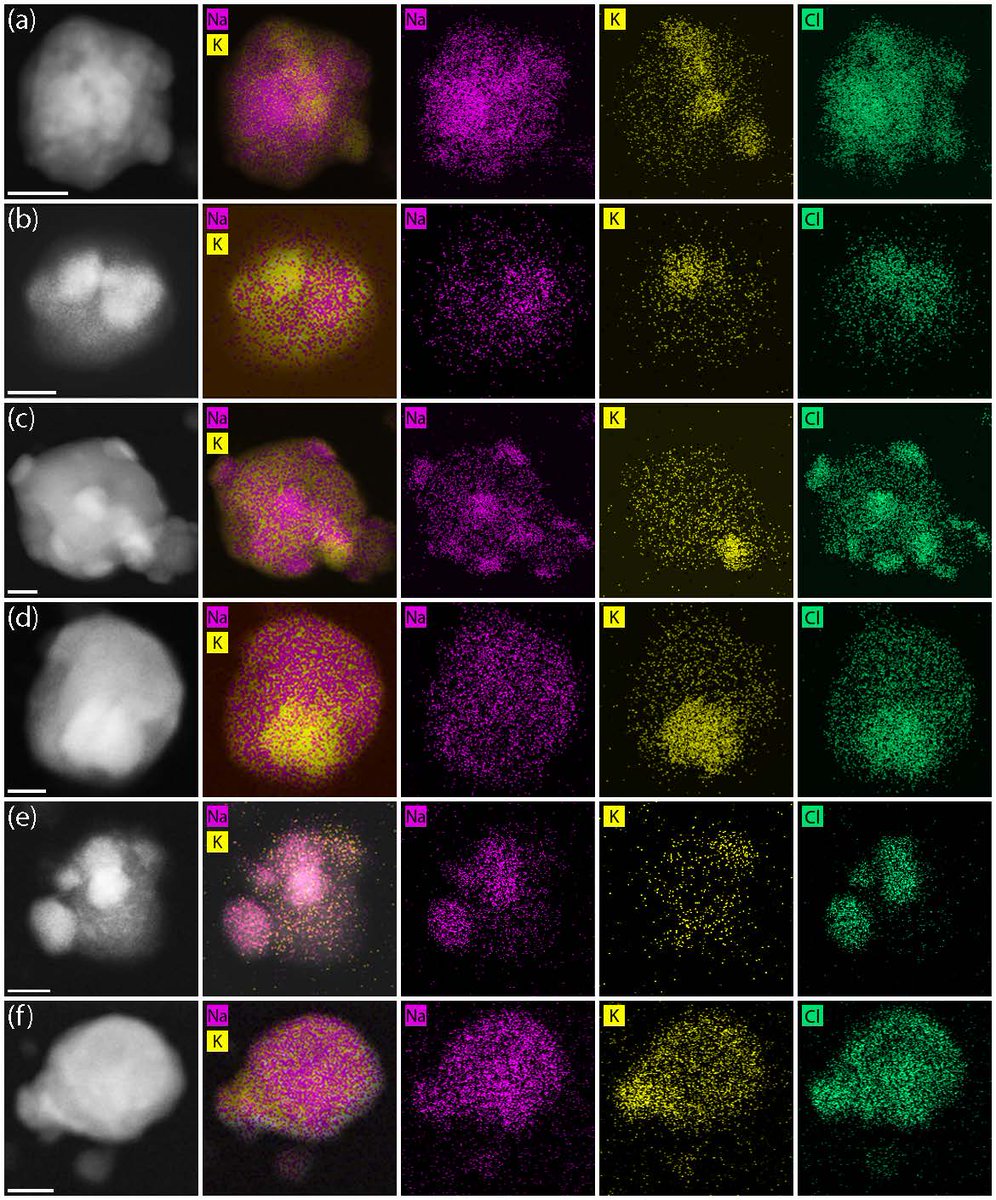 Viral transmission studies often use a synthetic substitute for human respiratory aerosol. Yet, comparing pig respiratory fluid to a common synthetic surrogate suggests that the physicochemical properties of the two fluids are not the same. In PNAS Nexus: ow.ly/JiuG50Oaz3F