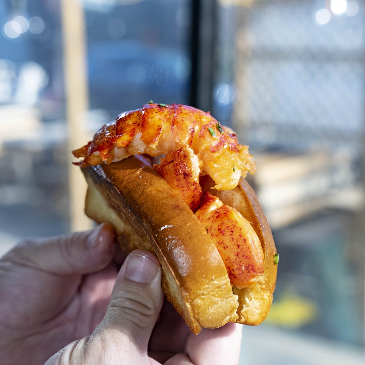 Our signature lobster roll features sweet, tender chunks of 🦞 meat -- and they make the perfect lunch or dinner option. 🤤 #SeawolfBK 

#Lobster #nycrestaurantreview #nycrestaurant #nycrestaurants #lobsterroll #lobsterrecipes #nycfoodies #lobsterdinner #nycfood