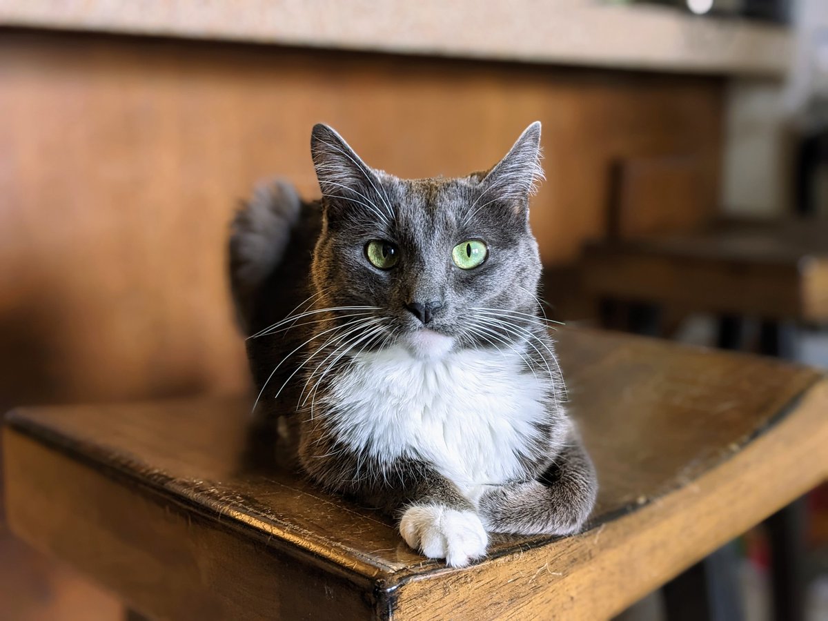 jonnomcd's tweet photo. The world is fucked up. Have a Zoë, she helps make things better. https://t.co/ovo8itx2pU